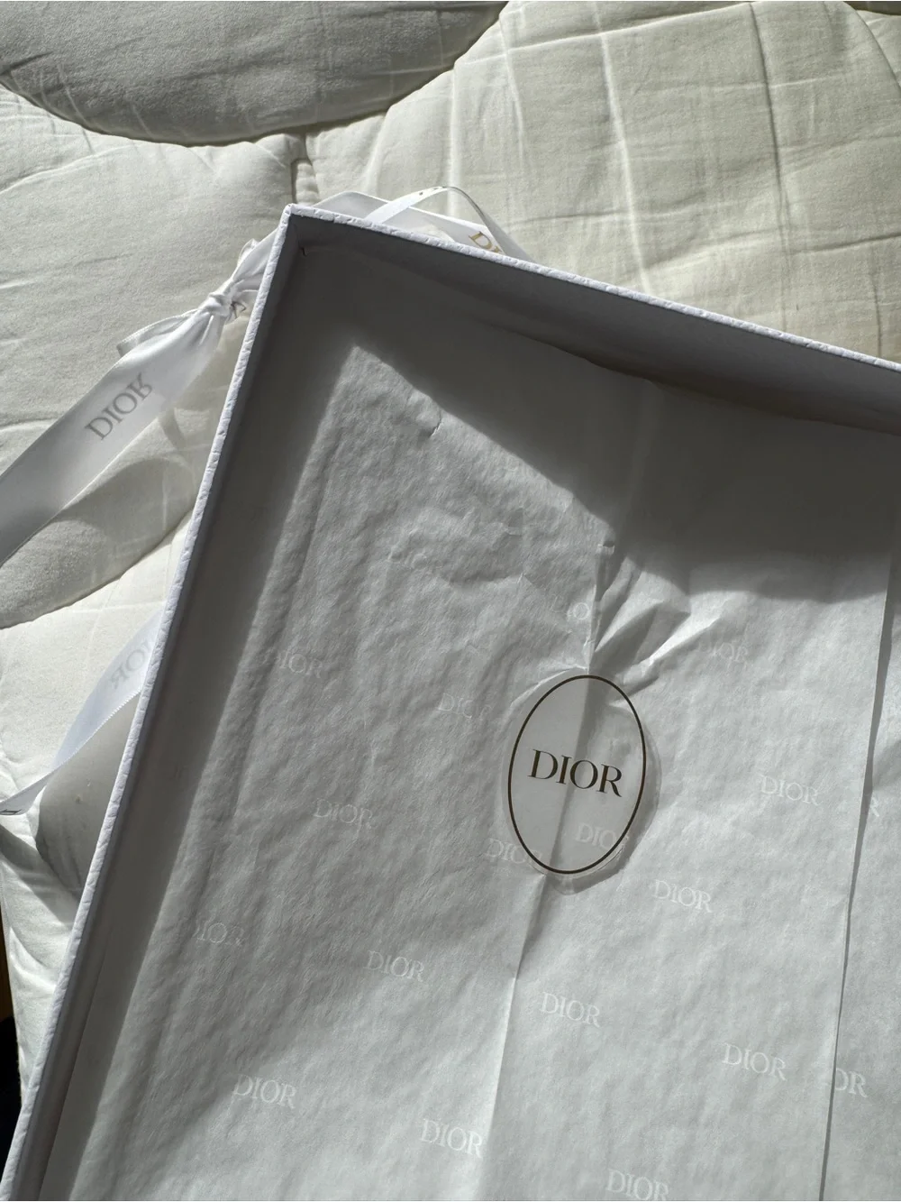 Dior luxurious presentation